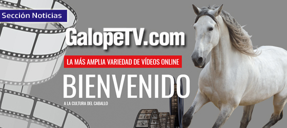 Lee más sobre el artículo GalopeTV.com, la nueva forma de ver y aprender Equitación