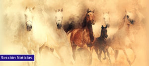 Lee más sobre el artículo El caballo, protagonista en la Feria Internacional de Turismo, FITUR 2020