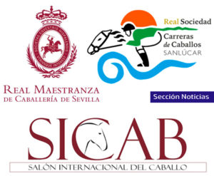 Lee más sobre el artículo Real Maestranza de Caballería de Sevilla, SICAB y Carreras de Caballos de Sanlúcar, medallas de Andalucía 2020