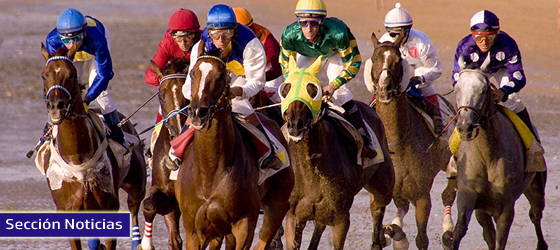 Lee más sobre el artículo El VAR llega a las carreras de caballos