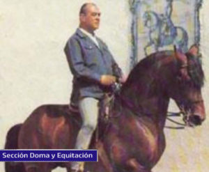 Lee más sobre el artículo La Doma y la memoria del caballo