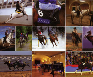 Lee más sobre el artículo Pactos imprescindibles en la venta internacional de caballos