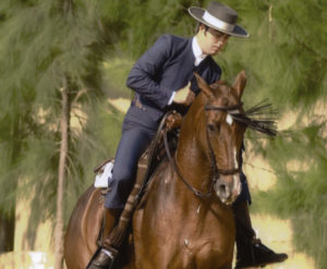 Lee más sobre el artículo El equilibrio del caballo en los cambios de pie por derecho
