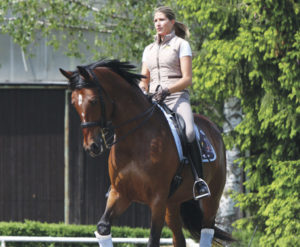 Lee más sobre el artículo Cómo favorecer la flexibilidad y aumentar la reunión del caballo con la espalda adentro