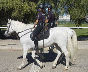 Lee más sobre el artículo ¿Cuál es la legislación para circular a caballo por tu localidad?