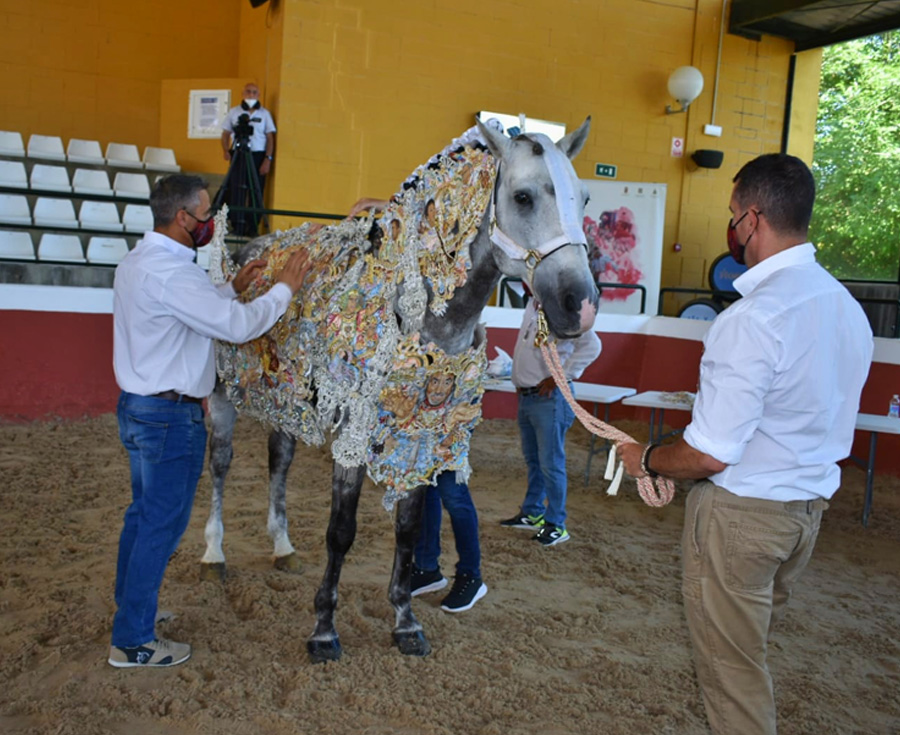 Lee más sobre el artículo Yeguada Cartuja y los Caballos del Vino de Caravaca unidos por la cultura del caballo