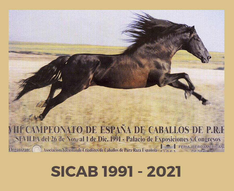 Lee más sobre el artículo ¿Cómo se puso en marcha SICAB en 1991?