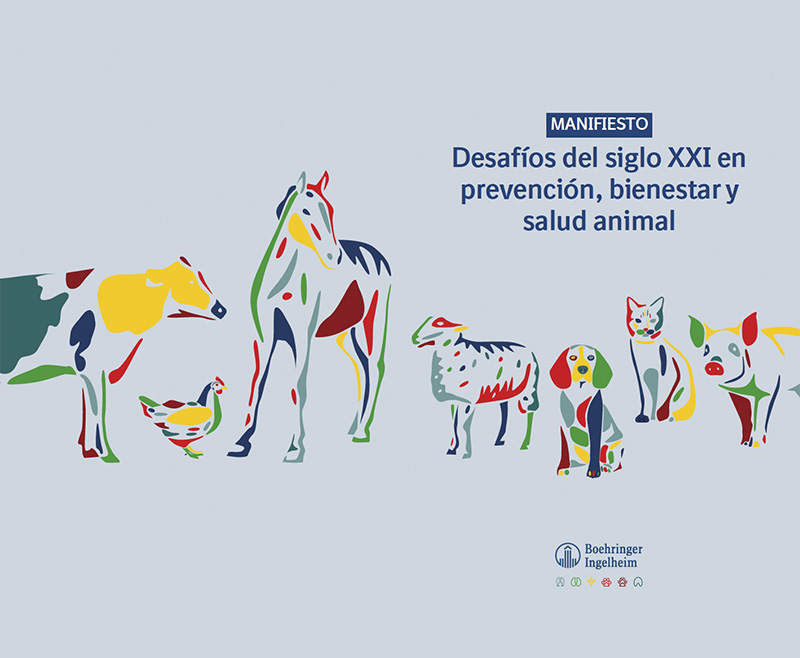 Lee más sobre el artículo El veterinario afronta su futuro como garante de la sanidad animal y de la seguridad alimentaria