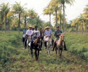 Lee más sobre el artículo Cuba a caballo: tras los pasos de la revolución