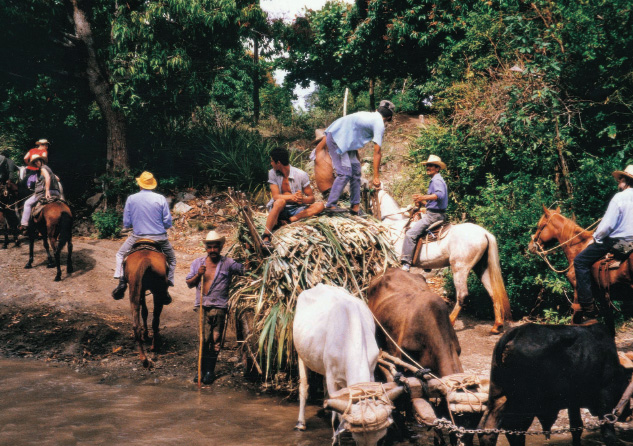 Viaje a caballo por Cuba