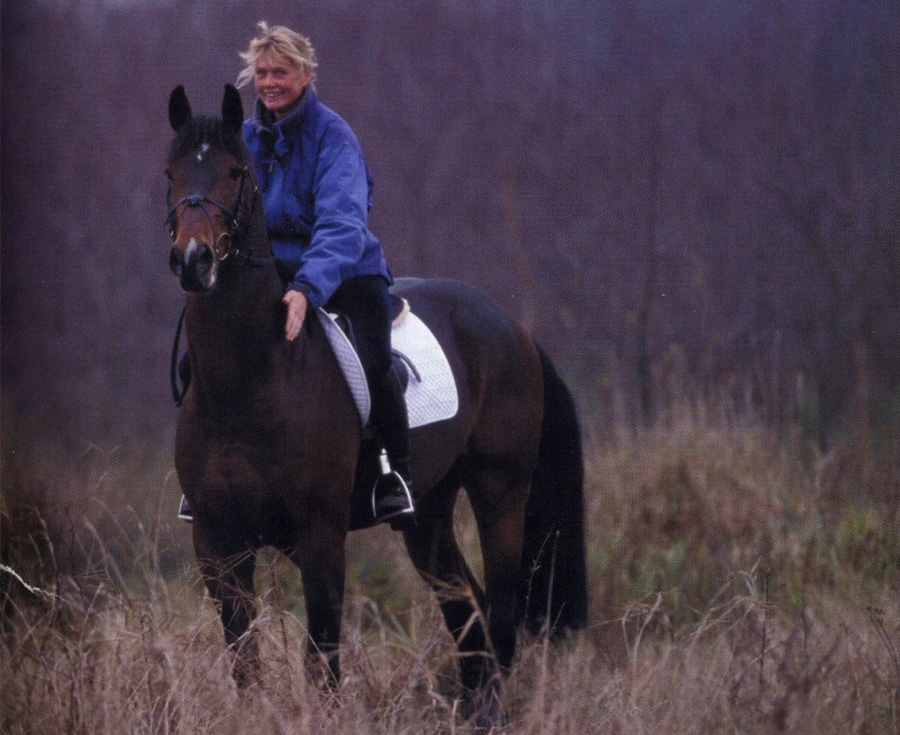 Lee más sobre el artículo Todo lo que debes saber sobre el entrenamiento del caballo