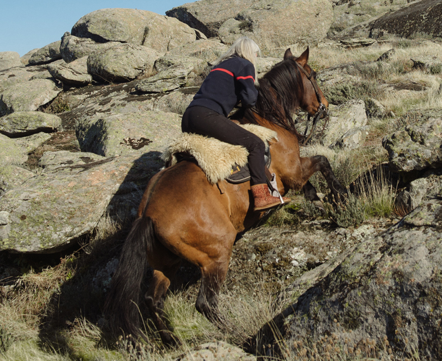 Cómo conseguir un caballo confiado en sí mismo, que se enfrenta a los desafíos con gusto y ánimo