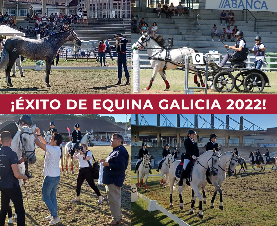 En este momento estás viendo Equina Galicia 2022 cierra su edición tres estrellas consolidándose como cita de referencia para el mundo del caballo