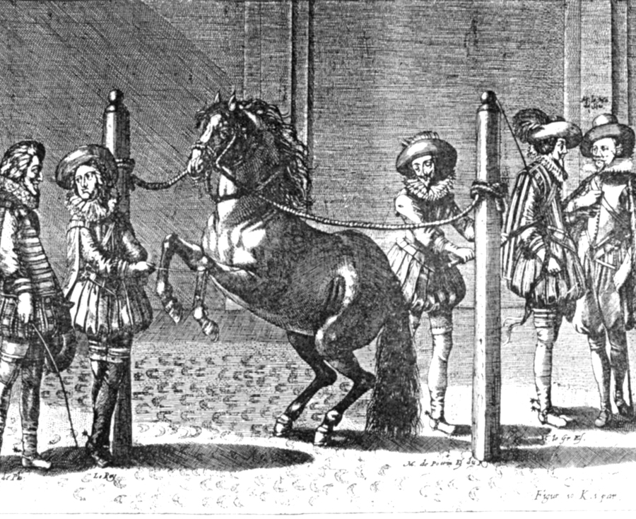En este momento estás viendo Antoine de Pluvinel, maestro de equitación con gran influencia en la doma moderna