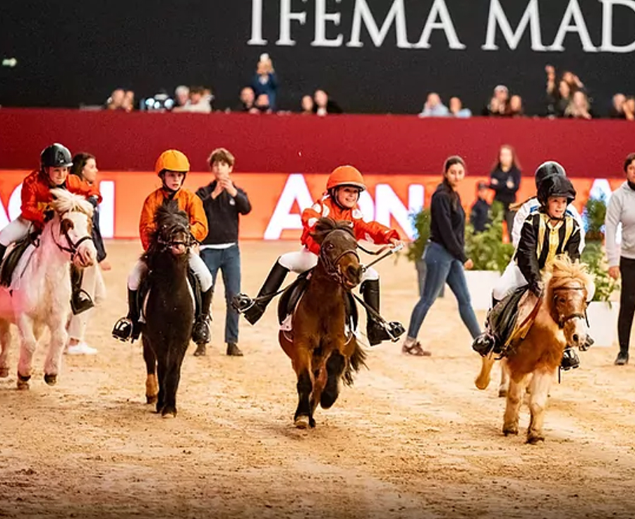 Lee más sobre el artículo IFEMA Madrid Horse Week clausura tres días redondos de ocio y alta competición