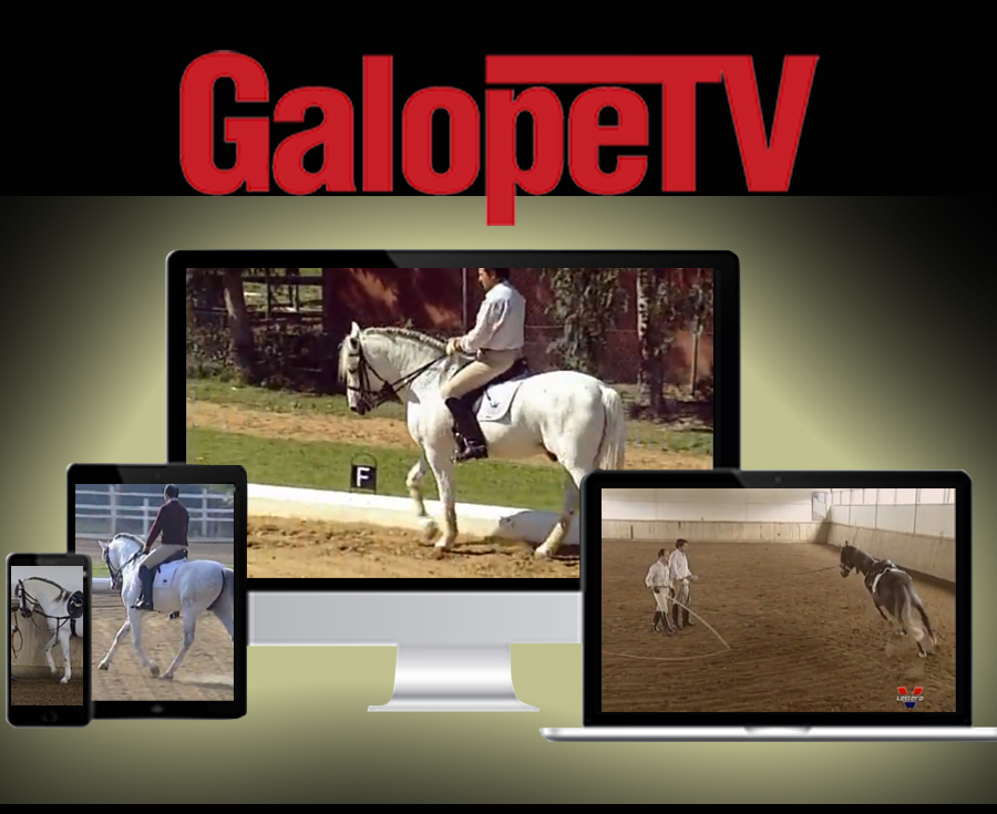 Lee más sobre el artículo GalopeTV.com, la forma de ver y aprender Equitación