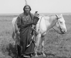 Lee más sobre el artículo Descubren que los primeros caballos de los indios norteamericanos eran españoles