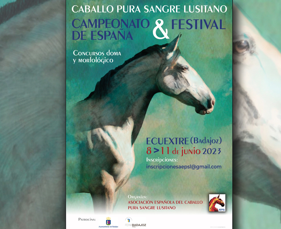 Lee más sobre el artículo Los mejores caballos Lusitanos desde el próximo 9 de junio en ECUEXTRE
