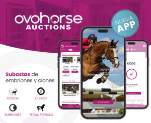 Lee más sobre el artículo Ovohorse Auctions, la app de subastas de embriones y clones equinos