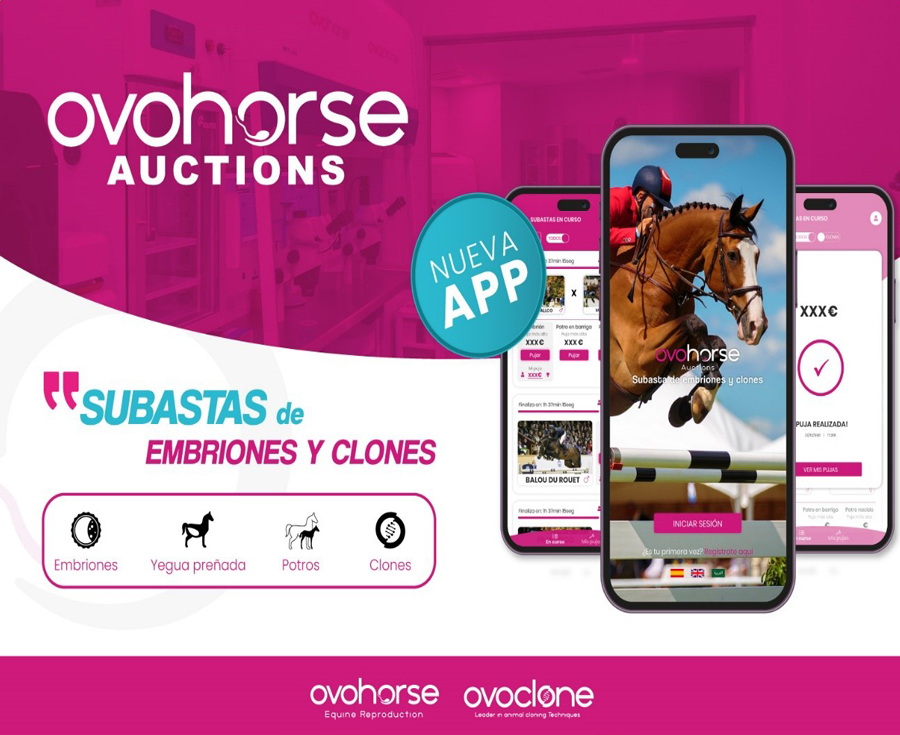 La App de subastas Ovohorse Auctions lanza un embrión de “Chacco Blue”