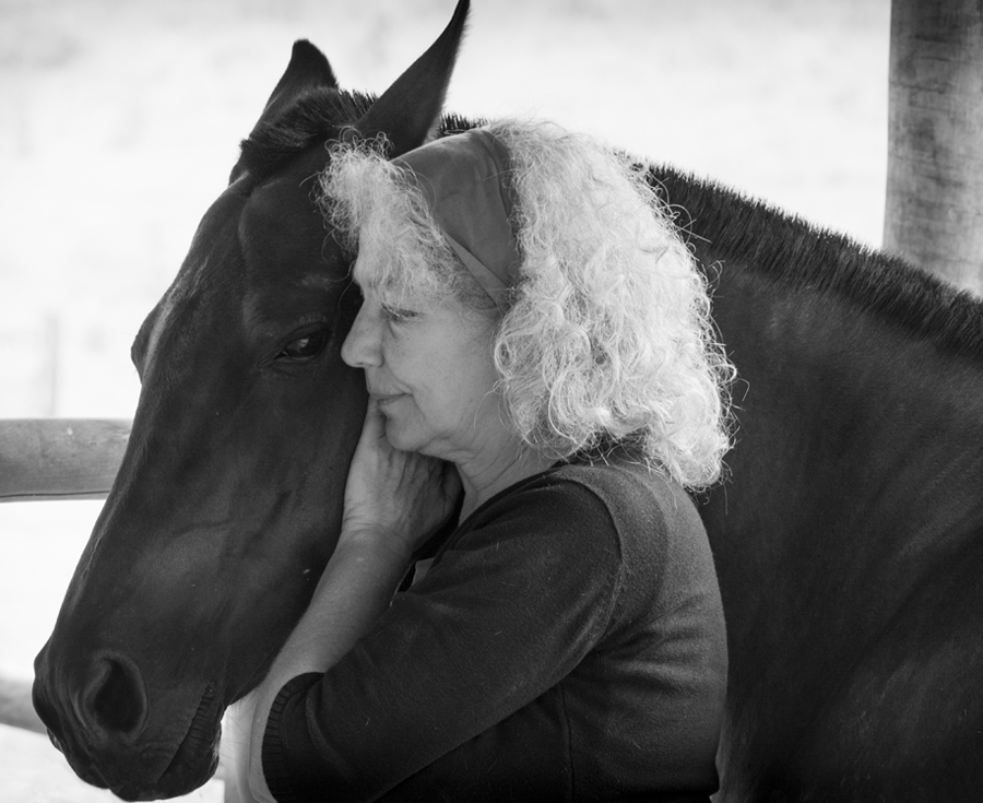 Cómo gestionar las frustraciones en el caballo