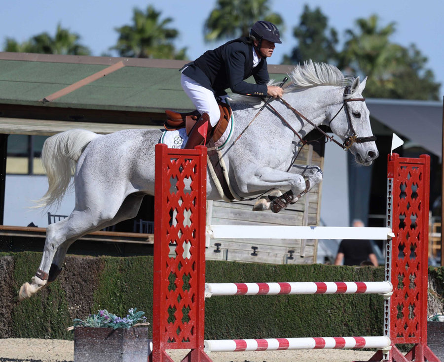 VIII Campeonato de Veteranos de Salto de Obstáculos