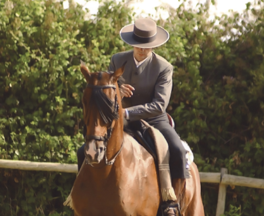 En este momento estás viendo ¿Qué nos dice nuestro caballo con cada gesto?