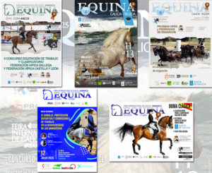 Lee más sobre el artículo Equina Galicia 2025, una cita referente para el mundo del caballo que reunirá del 11 al 13 de julio competición, espectáculo y aprendizaje