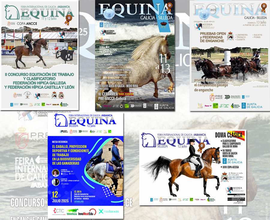 Equina Galicia 2025, una cita referente para el mundo del caballo que reunirá del 11 al 13 de julio competición, espectáculo y aprendizaje