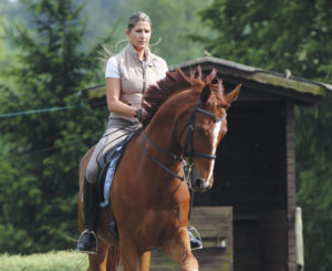 Lee más sobre el artículo Flexibilidad y reunión del caballo en la espalda adentro