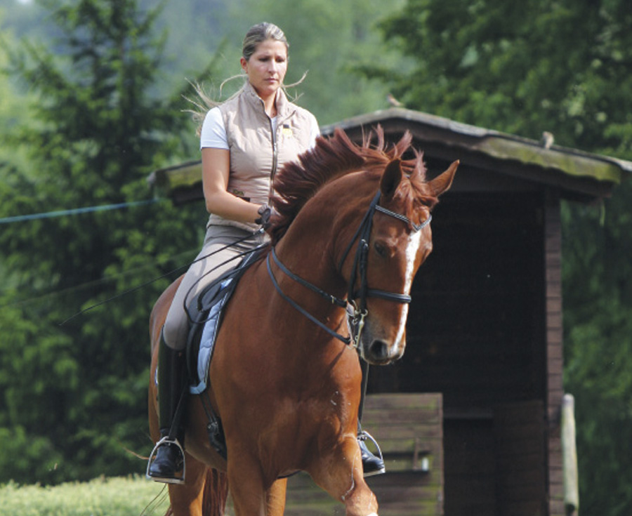 Lee más sobre el artículo Flexibilidad y reunión del caballo en la espalda adentro