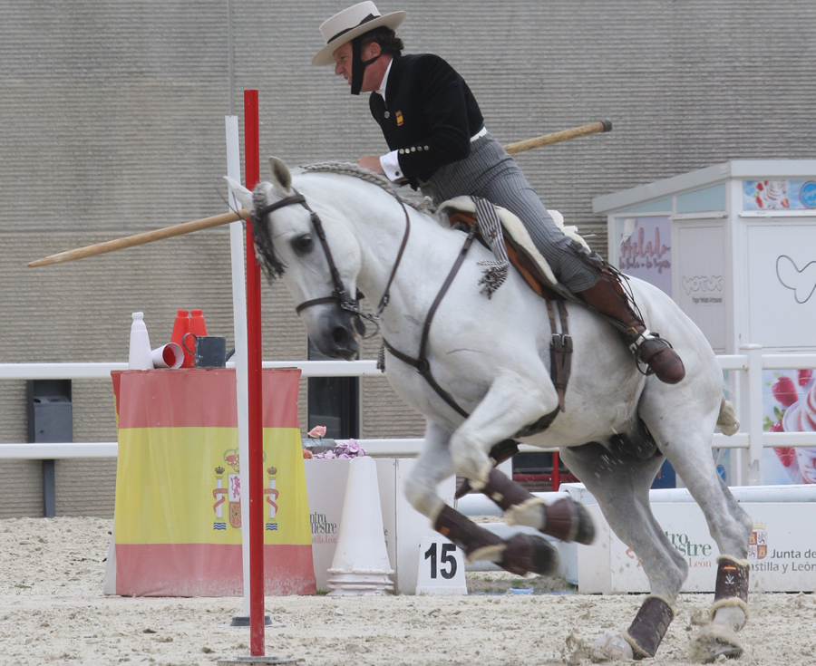 Juan José Verdugo, Campeón de España de Equitación de Trabajo