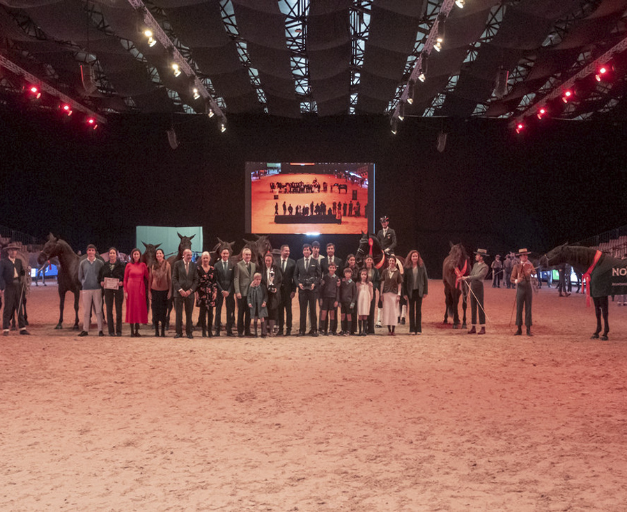 Lee más sobre el artículo La Yeguada de María Fernanda de la Escalera, Mejor Ganadería del Mundo de caballos españoles