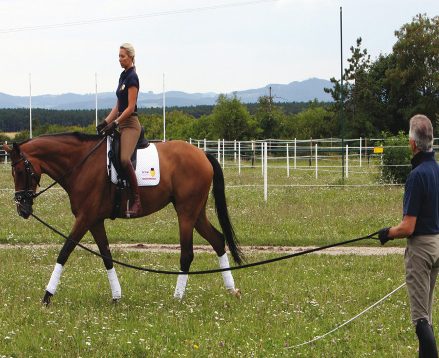 Lee más sobre el artículo Introducción de las riendas de atar